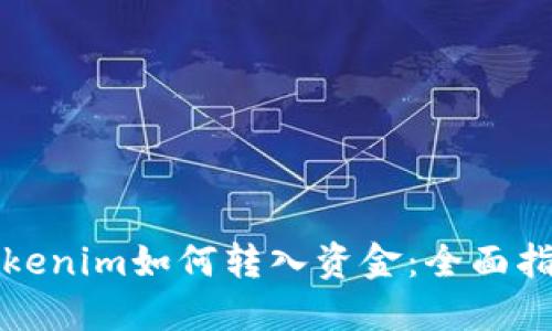 Tokenim如何转入资金：全面指南