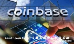 TokenimusDT: 了解其风险和投