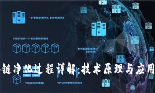 区块链净化过程详解：技术原理与应用前景