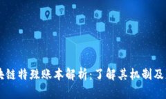 区块链特殊账本解析：了