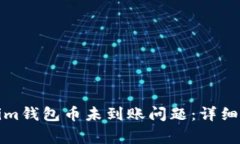 如何解决Tokenim钱包币未到