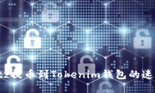 如何加快Bitz提币到Tokenim钱包的速度：详尽指南